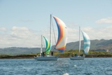 lemarac 4040c whyw22 sun 800_2203yi